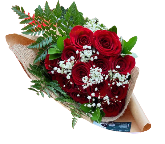 1 Dozen Roses